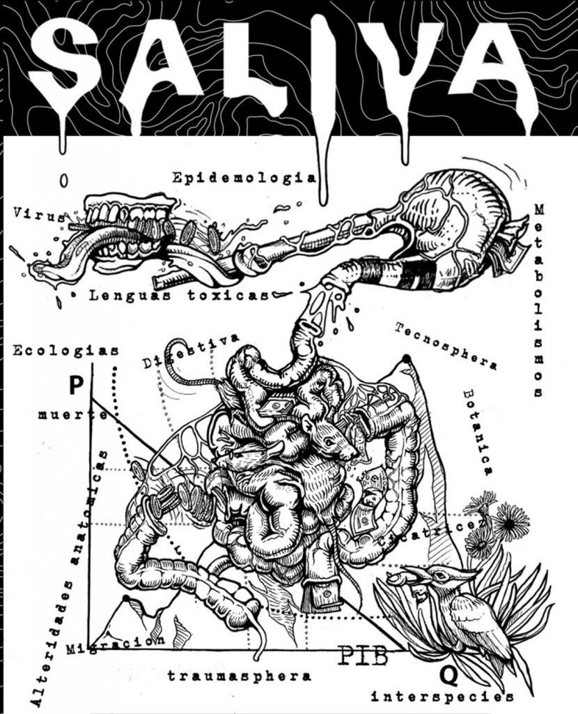 Saliva Sonographix Zine - Fome Bruta Sonoplastia Grafica